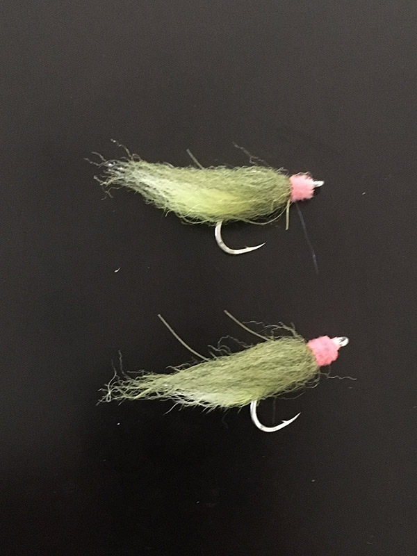 Milkfish flies